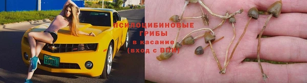гидра Алексин