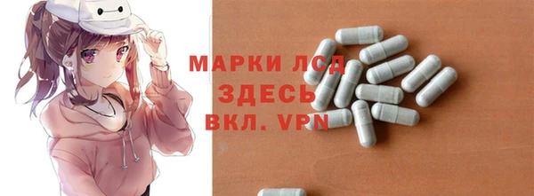 гидра Алексин