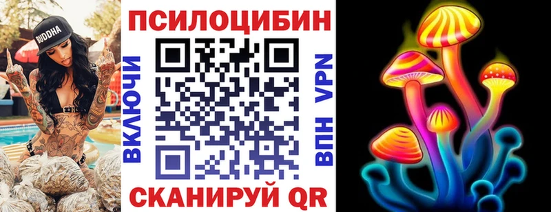 Галлюциногенные грибы Psilocybine cubensis  Новокубанск 